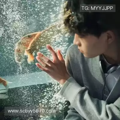 傅萍焕